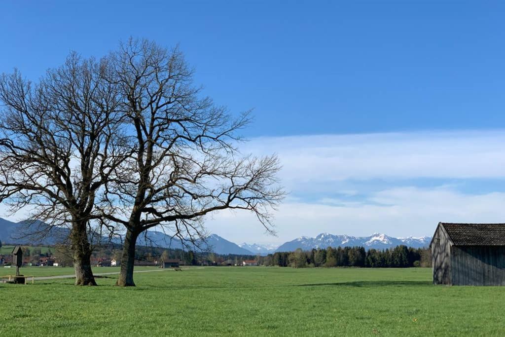 Ferienhaus Koenigsdorf - Urlaub Im Toelzer Land Konigsdorf Екстериор снимка